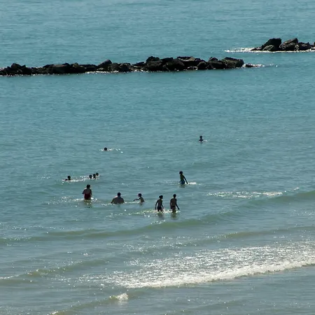 酒店 玫瑰酒店 4*