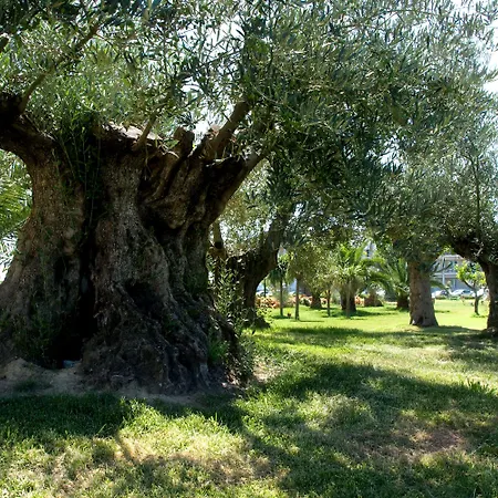 酒店 玫瑰酒店 4*